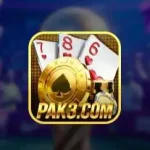 PAK3 Game Download APK 2026